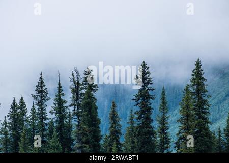 Nebbia al lago Maligne nel Jasper National Park, Alberta, Canada. Foto Stock