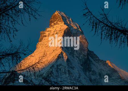 Il Cervino all'alba a Zermatt, Svizzera Foto Stock