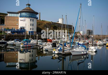 Patrimonio collinare sopra West Strand Marina, Whitehaven, Cumbria occidentale, Regno Unito Foto Stock