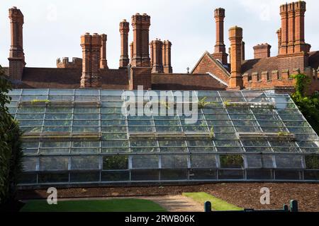 Serra contenente il Great Vine nel giardino dell'Hampton Court Palace a Richmond upon Thames, Londra. REGNO UNITO. È la vite più grande del mondo. Il sistema radice è all'esterno della casa di vetro. (135) Foto Stock