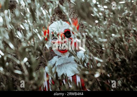 un pazzo pagliaccio rosso sta fissando l'osservatore con un sorriso raccapricciante nascosto dietro i rami di un albero, di fronte a una vecchia casa Foto Stock