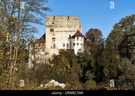 Castello di Angenstein vicino ad Aesch BL. Baselland. Svizzera Foto Stock