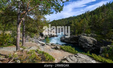 Il fiume Sjoa (Randsverk, Innlandet, Norvegia) galleggia attraverso la foresta subito dopo aver perduto il salto del Cavaliere, una stretta gola a Sjodalen, che prende il nome da a. Foto Stock