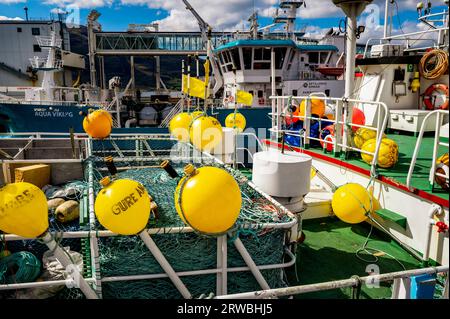 Barche da pesca nel porto di Ullapool, Scozia Foto Stock