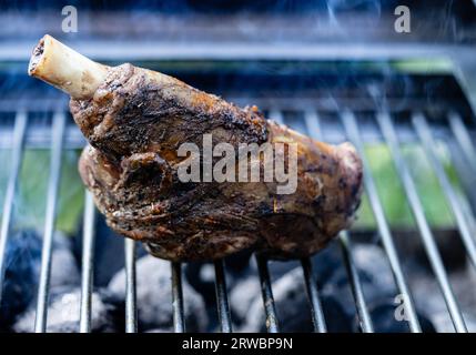 Codolo di agnello grigliato al carbone con bulgur e crema all'aglio Foto Stock