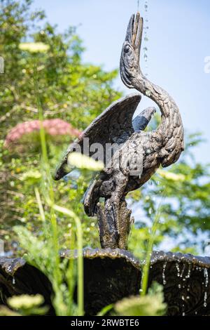 Fontana Bittern (Heron) nell'Heritage Garden dello State Botanical Garden of Georgia, parte dell'Università della Georgia ad Atene. (USA) Foto Stock