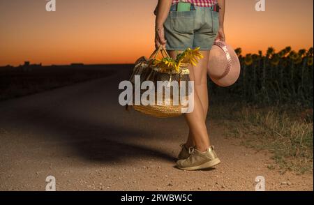 Donna irriconoscibile con cesto pieno di girasoli e cappello di paglia che cammina sul sentiero di sera in estate vicino al campo Foto Stock