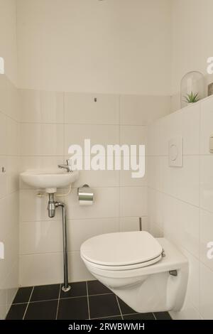Interno luminoso bagno con piastrelle nere sul pavimento, WC in ceramica bianca e lavandino situato in un angolo a casa Foto Stock