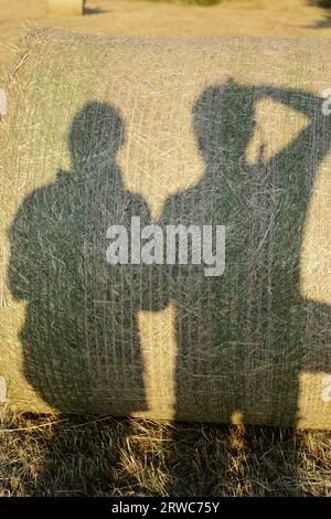 Il fotografo proietta un'ombra su una balla di fieno mentre scatta una foto Foto Stock