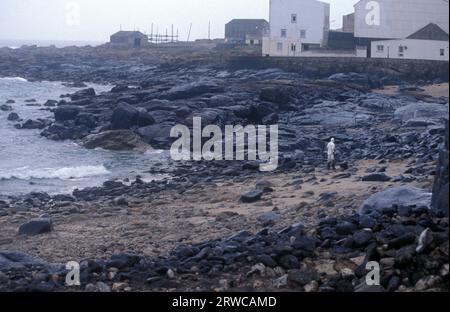 Pulizia volontaria della spiaggia di Muxia, la fuoriuscita di olio Prestige , Praia do Coido, Muxia, A Coruña, Galizia, Spagna Foto Stock