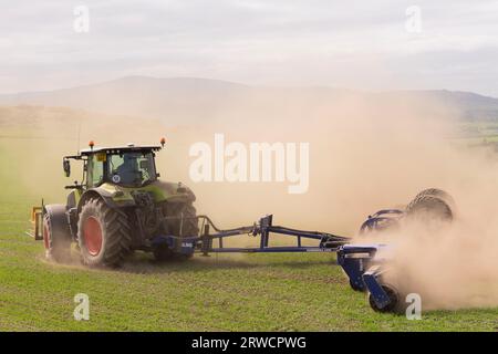 Un trattore Claas con rulli Dalbo che sfreccia nuvole di polvere in un campo asciutto di orzo primaverile Foto Stock