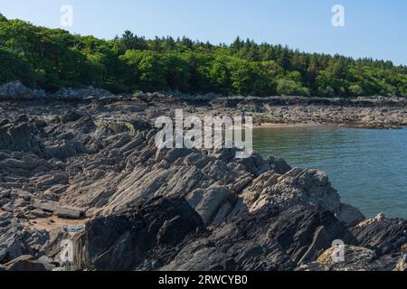 Costa di Solway vicino a Kirkudbright, Dumfries e Galloway, Scozia Foto Stock