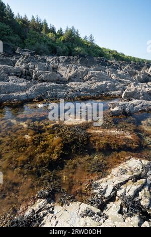 Costa di Solway vicino a Kirkudbright, Dumfries e Galloway, Scozia Foto Stock