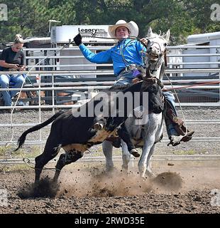 Emporia, Kansas, USA. 17 settembre 2023. Durante l'evento di roping del team Kutler Barnett di Oakley e Keaton Ryan di Canton collaborano per posizionare i lassoes intorno alla testa e alle gambe posteriori del vitello a Emporia, Kansas, il 17 settembre 2023. Crediti: Mark Reinstein/Media Punch/Alamy Live News Foto Stock