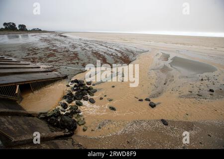 Alluvioni, Nelson, nuova Zelanda Foto Stock