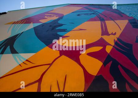 Graffiti murali colorati dipinti da Shepard Fairey, titolo Mosaic of Peace and Harmony. Chinatown. Singapore Foto Stock