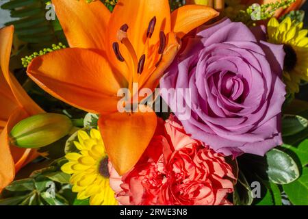 Sfondo con texture macro di fiori freschi e luminosi in una disposizione floristica al coperto, caratterizzato da rosa, garofano, giglio e crisantemo Foto Stock
