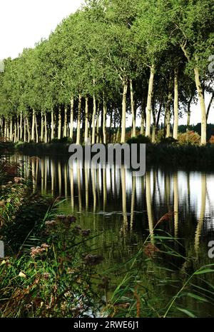 Sul canale da Bruges a Sluis, che porta dal Belgio all'Olanda Foto Stock