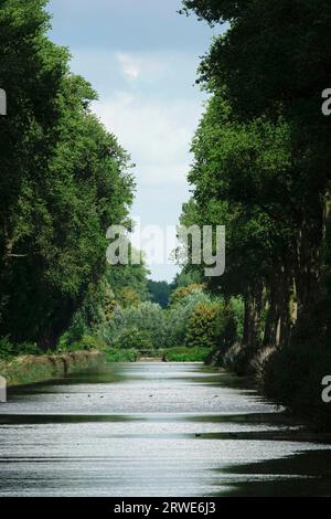 Sul canale da Bruges a Sluis, che porta dal Belgio all'Olanda Foto Stock