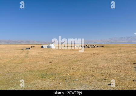 Vista panoramica della tradizionale yurt e bestiame di tribù nomadi su verdi praterie in Kirghizistan Foto Stock