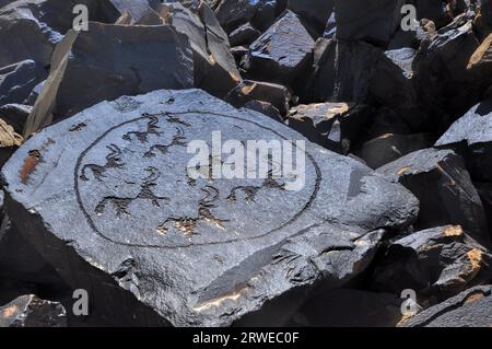 Antica pittogrammi incisi su roccia su Saimaluu Tash sito in Kirghizistan Foto Stock