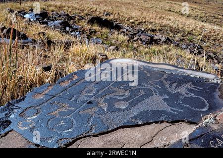 Antica pittogrammi incisi su roccia su Saimaluu Tash sito in Kirghizistan Foto Stock