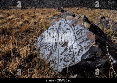 Pittogrammi incisi su roccia su Saimaluu Tash sito in Kirghizistan Foto Stock