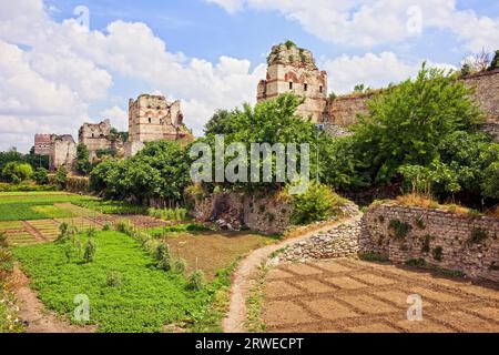 Le mura cittadine di Costantinopoli furono costruite dall'imperatore bizantino Teodosio II e gli orti su quello che un tempo era il fossato di Istanbul, in Turchia Foto Stock