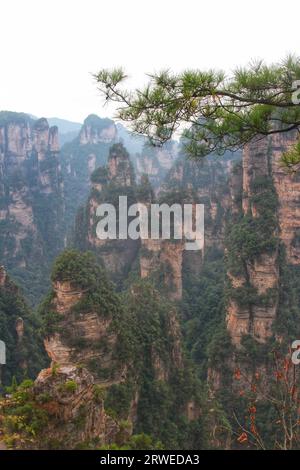 Immergiti nella bellezza mozzafiato delle montagne in stile avatar della Cina, un maestoso regno di vette mozzafiato e la grandiosità della natura Foto Stock