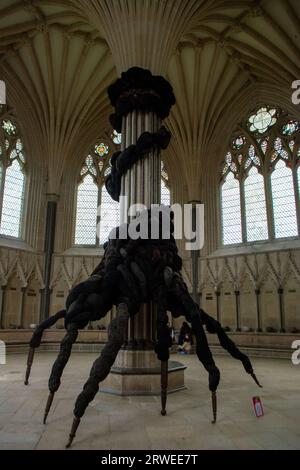 Wells.Somerset.Regno Unito.agosto 2023.Vista dell'interno della casa capitolare all'interno della cattedrale di Wells nel Somerset Foto Stock