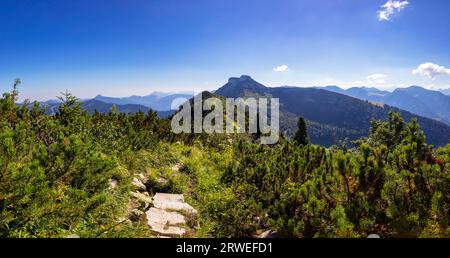 Sentiero escursionistico da Schlenken a Schmittenstein, gruppo Osterhorn, Salzkammergut, Tennengau, Land Salzburg, Austria Foto Stock