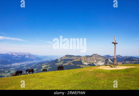 Mandria di cavalli in cima alla croce su Trattberg con vista su Schlenken e Schmittenstein, gruppo Osterhorn, Salzkammergut, Tennengau, Land Foto Stock