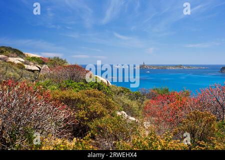 L'Isola dei Cavoli con il faro vicino a Villasimius Foto Stock