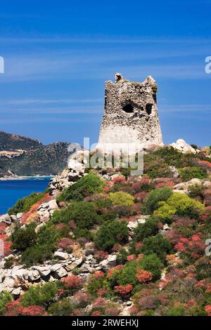 Porto Giunco, vicino a Villasimius Foto Stock