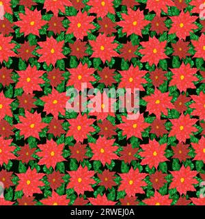 Acquerello disegnato a mano fiori di poinsettia senza cuciture patten isolato su sfondo nero. Può essere utilizzato per tessuti, tessuti, confezioni regalo e altre stampe Foto Stock