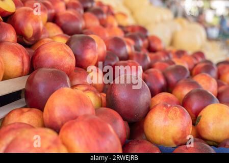 Un mucchio di nettarine mature sul mercato di Street food Foto Stock