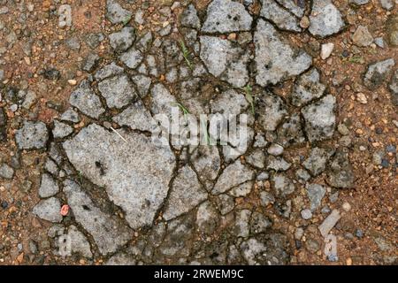 Grungere pareti o pavimenti in cemento con incrinature. Sfondo astratto di una parete di cemento incrinato. Sfondo per primo piano con trama di cemento incrinato. Foto Stock