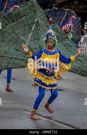 Un ballerino Peacock si esibisce lungo una strada di Kandy in Sri Lanka durante il giorno dell'Esala Perahera (grande processione). Foto Stock
