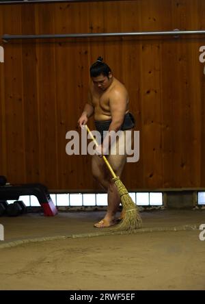 Lottatore di sumo che colora il dohyo nella scuderia di sumo Tatsunami Beya, regione di Kanto, Tokyo, Giappone Foto Stock