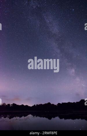 La Via Lattea visto oltre Burton Mill Pond, South Downs National Park, Petworth, Sussex, Regno Unito. Agosto. Notte. Foto Stock