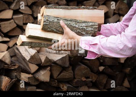 Preparazione per la stagione di riscaldamento con riscaldamento a legna. Legna da ardere nelle mani di una donna. Foto Stock