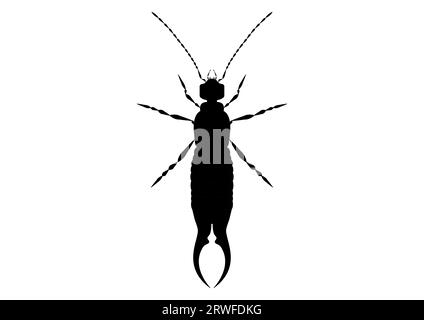 Earwig Clipart Vector bianco e nero isolato su sfondo bianco Illustrazione Vettoriale