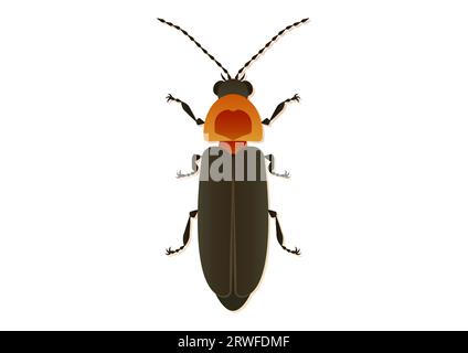 Firefly Vector Art isolato su sfondo bianco Illustrazione Vettoriale