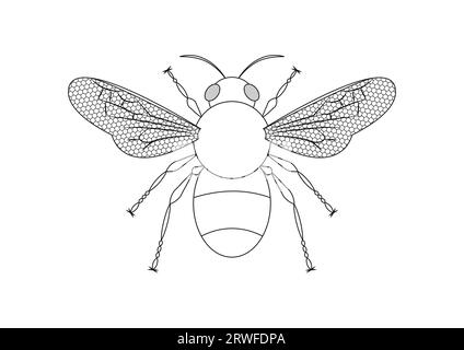 Black and White Bee Vector Clipart. Colorazione della pagina di un'ape Illustrazione Vettoriale