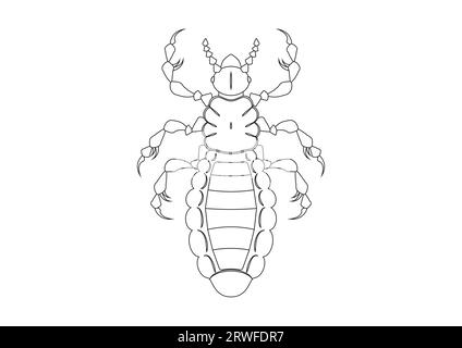 Vettore Clipart Louse bianco e nero isolato su sfondo bianco. Colorazione della pagina di un topo Illustrazione Vettoriale