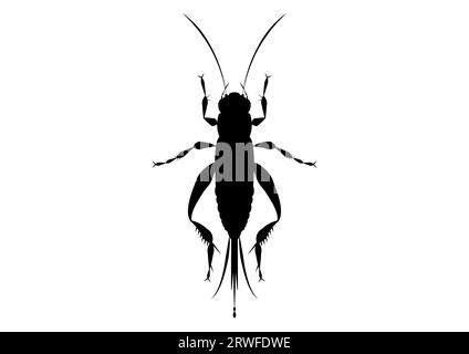 Black and White House Cricket Clipart Illustrazione Vettoriale