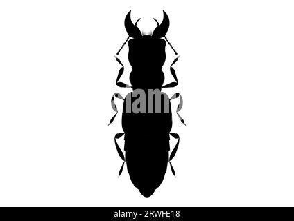 Vettore Clipart Oxyporus Rufus bianco e nero isolato su sfondo bianco Illustrazione Vettoriale