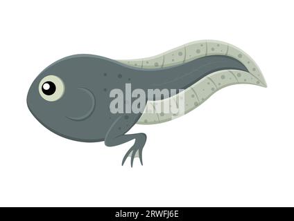 Illustrazione del vettore del carattere del cartone animato del tadpole isolata su sfondo bianco Illustrazione Vettoriale