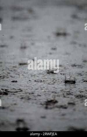 riflesso a gocce di pioggia da terra durante la pioggia Foto Stock