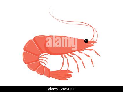 Design piatto Vector Character Cartoon di gamberi. Illustrazione vettoriale del cibo marino Illustrazione Vettoriale